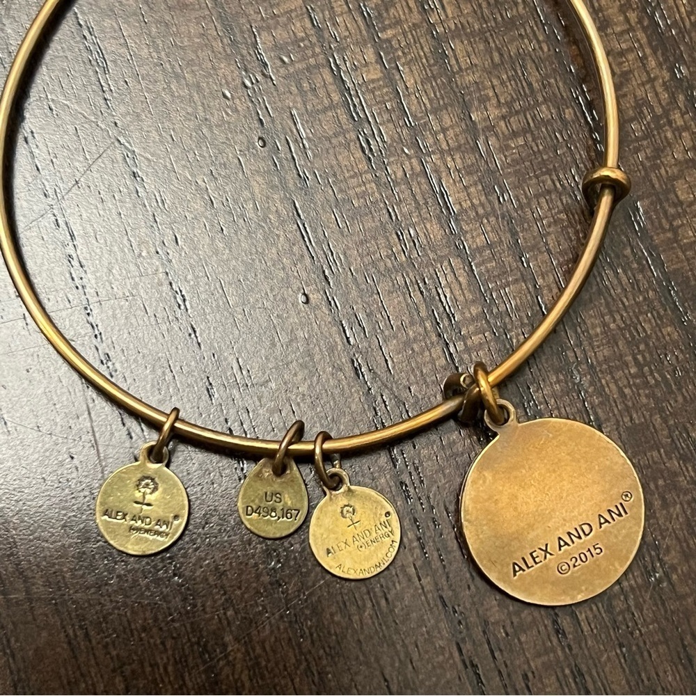 Alex and Ani FSU Charm Bracelet - Picture 3 of 6